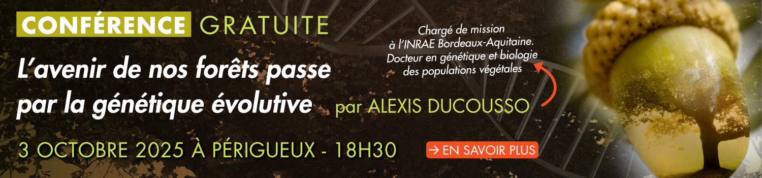 accueil-conf-ducousso-large-2